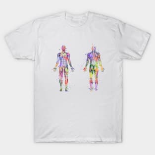 Human Body Muscles Watercolor T-Shirt